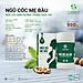 Ngũ Cốc Mẹ Bầu Long Liên (500gr) - Ngũ Cốc Cho Bà Bầu - Ngũ Cốc Dinh Dưỡng Cho Mẹ Và Thai Nhi - Bổ Sung Omega3, DHA, Canxi, Sắt - Hỗ Trợ Cho Sự Phát Triển Toàn Diện Và An Toàn Của Bé - Chứng Nhận ATVSTP