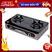 BẾP GAS ĐÔI NAMILUX 2063PF(HÀNG CHÍNH HÃNG)