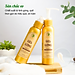 Bộ đánh tan mỡ bụng lâu năm Wonmom ( 1 Gel gừng giảm eo + 1 Gen nịt bụng )