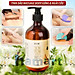 Dầu Massage Body 500ml Tinh Chất Gừng Ngải Cứu Spa Đông Y Cổ Vai Gáy Dưỡng Sinh Giảm Đau Xương Khớp