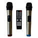 Loa Kéo Di Động Karaoke Bass 40 BMD LK-40B60 (800W) 4 Tấc - Màu Ngẫu Nhiên - Chính Hãng