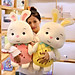 Gấu Bông Thỏ Trái Cây Siêu Mềm Mịn Siêu Đáng Yêu (25cm---->60cm) Vải Miniso 4 Chiều Mềm Mại Êm Ái, An Toàn Cho Người Sử Dụng
