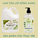 Combo Gốc Thực Vật NGB1 Peace Mass Nước Giặt Xả 2 in 1 3.6 lít + Nước Rửa Chén 500ml (Thuộc nhóm Sản phẩm Lành tính / Sinh học)