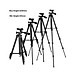 Gậy Chụp Hình, Chụp ảnh 3 chân Tripod 312O Cao cấp - Tặng Kẹp Smartphone