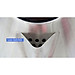 Bình đun siêu tốc Kangaroo KGWK15I2 - Hàng chính hãng