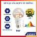 Đèn quang hợp, đèn trồng cây trong nhà 6W, chiếu sáng quang hợp cho cây xanh, trầu bà, lan chi, lộc phát, sen đá, Chính hãng Rạng Đông