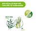 Xịt bảo vệ da chiết xuất tinh dầu tự nhiên (Thay xịt xua muỗi) Chicco NaturalZ 100ml