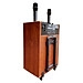 LOA KÉO ARIRANG MKS2 CÔNG SUÂT 320W KÈM 2 MICRO KHÔNG DÂY UHF - HÀNG CHÍNH HÃNG