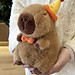 Thú nhồi bông Capybara đội nón sinh nhật có dòng chữ Happy everyday - Size từ 35cm đến 85cm - Quà tặng gấu bông chuột lang đeo nơ dễ thương.