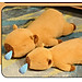 Thú nhồi bông capybara phom nằm đáng yêu - Size từ 60cm đến 90cm - Quà tặng gấu bông chuột lang chảy nước mũi có thể kéo ra được.