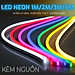 Dây Led Neon Flex 12V Kèm Nguồn Dài 1M/2M/3M/5M Trang Trí Cổ Điển