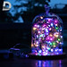 Dây đèn nháy led đom đóm trang trí dùng pin nhiều màu, bóng đèn nháy fairy light cao cấp décor phòng, nhà cửa, tết (Tùy chọn chiều dài dây)