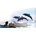 43P79B - Google TV TCL 4K 43 inch 43P79B - Hàng Chính Hãng - Chỉ Giao Hồ Chí Minh
