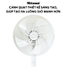 Quạt lửng Mitomo FCE - 50AE MAX, có điều khiễn từ xa, hẹn giờ, đông cơ bạc đạn hoạt động siêu êm -hàng chính hãng