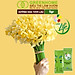 Dưỡng Hoa Tươi Lâu Greenhome, Longlife, Phân Bón Cho Hoa Cắt Cành, Gói 5gr, Lâu Tàn, Nở Bông To, Không Bị Hôi Nước