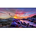 Smart Tivi TOSHIBA 43 inch 43E31MP, Màn Hình LED FULL HD - Loa 20W - Lắp Đặt Toàn Quốc -Hàng Chính Hãng