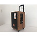 Loa kéo “JBZ J7” – Karaoke di động bass 2 tấc - SẢN PHẨM CHÍNH HÃNG