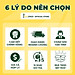 ASIA GREEN - Cùm Treo Ống Gió Tròn, Cố Định Vị Trí Ống Gió, Chống Thấm Nước Hàng chính hãng (Giá bao gồm VAT)