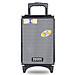 Loa kéo Temeisheng A8-2T - Loa kéo di động bass 2 tấc - Tặng kèm 1 micro không dây - Công suất lên đến 250W - Đầy đủ kết nối Bluetooth, AUX, USB, TF card - Cổng 6.5 cắm micro ngoài - Âm thanh sống động, sắc nét - Hàng nhập khẩu
