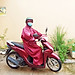 Áo Mưa Bít Dù Trơn, Áo Mưa Kín Người Vải Dù Siêu Dày 1M4, Chống Thấm Hiệu Quả, Phù Hợp Nam Và Nữ, Có Túi Đựng, Có Lựa Chọn Màu Sắc