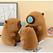 Gấu bông CAPYBARA chảy nước mũi dễ thương đáng yêu siêu hot size 25cm - Hàng chính hãng