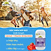Viên Nhai Bổ Sung Canxi Cho Bé Kids Smart Bursts Calcium + Vitamin D3 Nature's Way (50 viên)