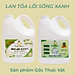 Combo Sản Phẩm Gốc Thực Vật  Peace NGB3 Mass - Nước Giặt Xả 2 in 1 3.6l + Nước Rửa Chén 3.6 lít (Thuộc nhóm Sản phẩm Lành tính / Hữu cơ)