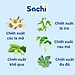 Nước tắm thảo dược SACHI dịu mát da, phòng rôm sảy, mẩn ngứa, hăm tã, bảo vệ làn da cho bé (Dạng gói)