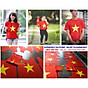 Áo thun cờ Việt Nam Áo Cờ Đỏ Sao Vàng Chất ĐẸP thumbnail