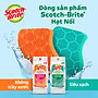 Miếng rửa chén hạt nổi siêu sạch Scotch Brite 3M đa năng, công nghệ độc quyền mới, mút kháng khuẩn ngăn vi trùng, không gây mùi, không bám cặn bẩn, dễ dàng vệ sinh (Màu cam/ Màu xanh lục)