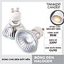 Bóng đèn Halogen từ Yankee Candle (dùng cho Đèn đốt nến)