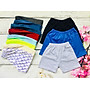 Combo 6 quần thun bé trai, quần mặc ở nhà, mặc ngủ, quần thun trẻ em cotton - 6 màu ngẫu nhiên