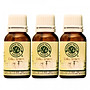 Combo 3 Chai Dầu Tràm Cung Đình (15ml)