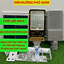 ĐÈN ĐƯỜNG NĂNG LƯỢNG MẶT TRỜI(300W)