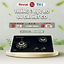 Bếp gas âm Rinnai RVB-6SDQ(B) mặt bếp kính và kiềng bếp men - Hàng chính hãng.