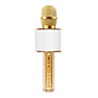 Micro karaoke không dây bluetooth kiêm loa nghe nhạc  3 trong 1 PF72 Gold - Hàng Chính Hãng