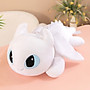 Gấu bông rồng răng sún toothless night fury dragon ship HOẢ TỐC HCM bí kíp luyện rồng gấu bông rồng khổng lồ 40cm 60cm 80cm