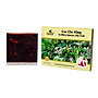 Cao Chè Vằng Tự Nhiên Nguyên Chất Gold 100 gr