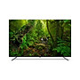Google TV Philips 65 Inch 4K UHD QLED 65PQT8169  - Hàng Chính Hãng