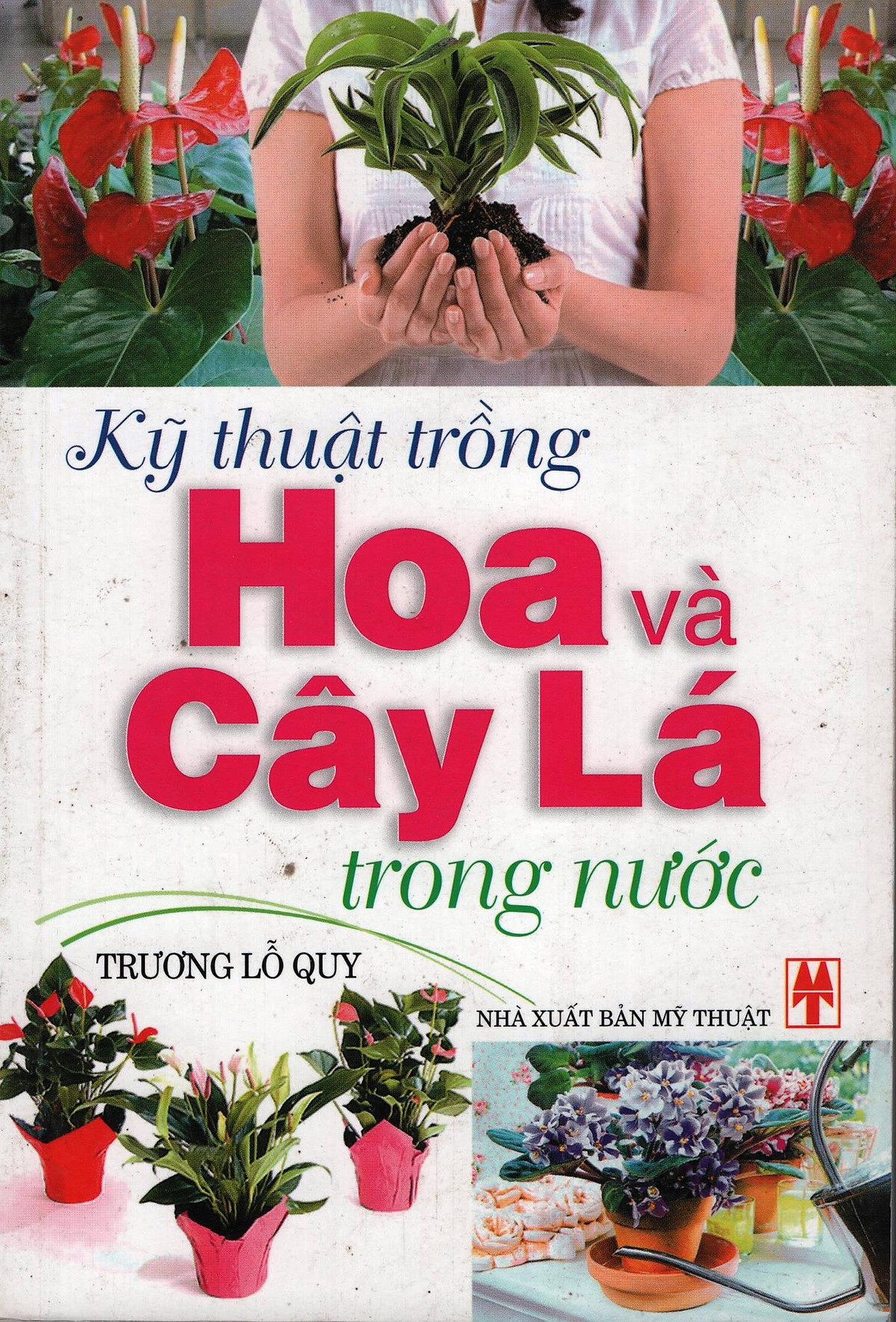 Kỹ Thuật Trồng Hoa và Cây Lá Trong Nước