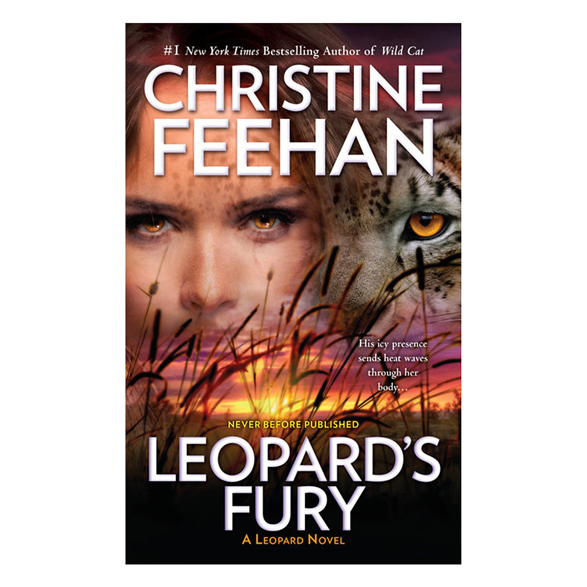 Leopard'S Fury