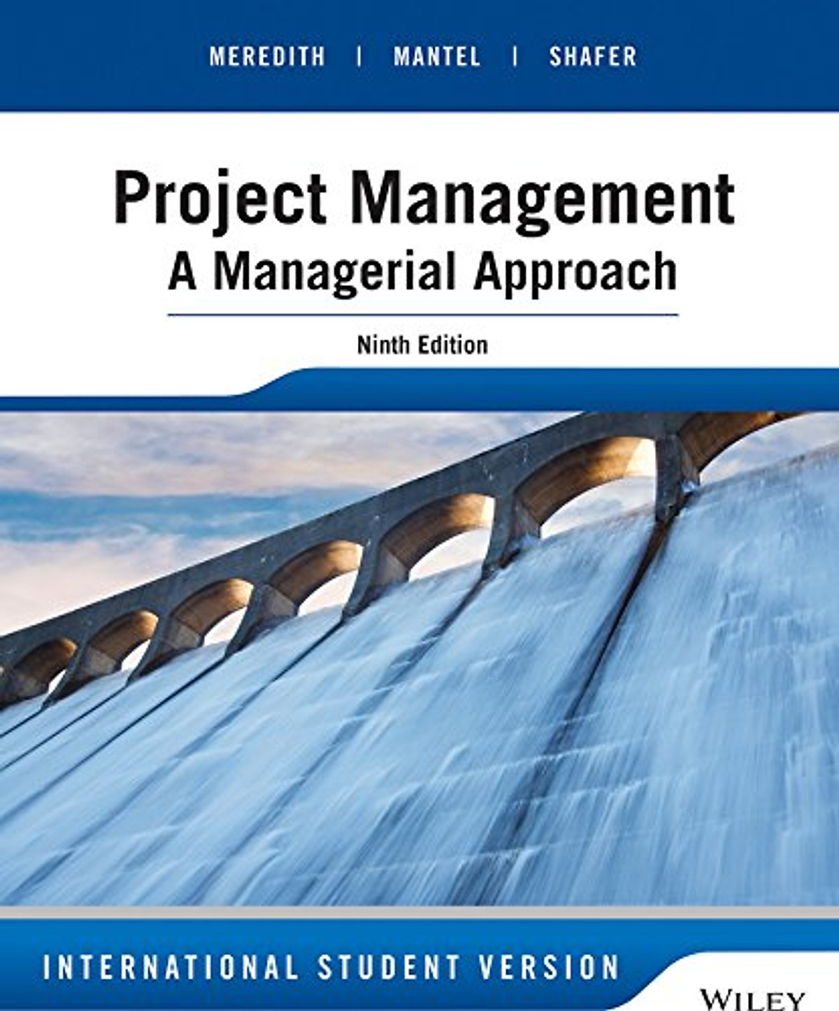 Project Management: A Managerial Approach 9Ed Isv