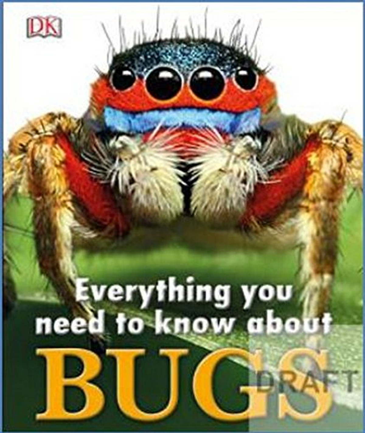 Everything You Need To Know About Bugs