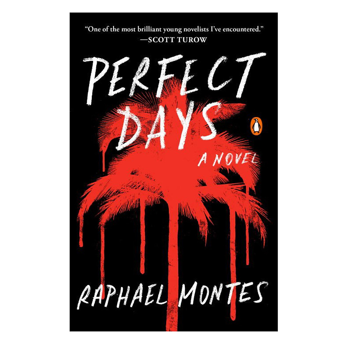 Perfect Days (A Novel)