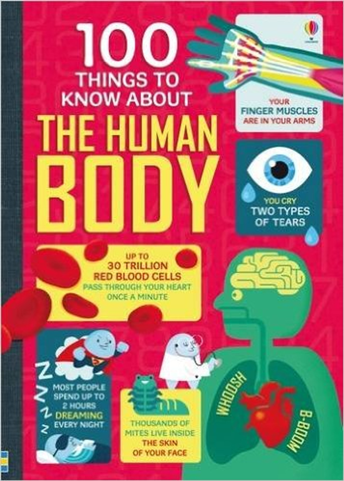 Usborne 100 Things to know about the Body