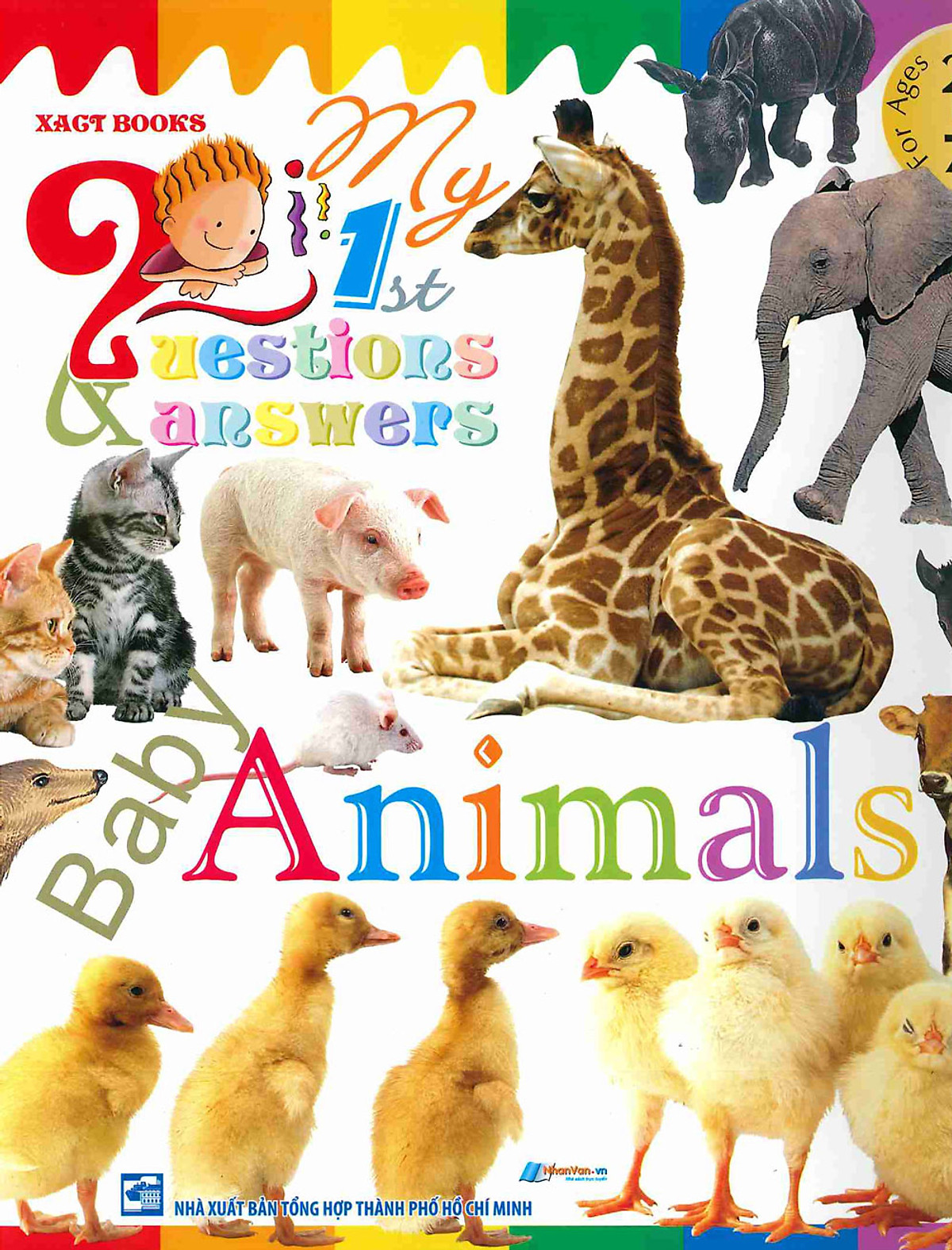 My First Questions & Answers - Baby Animals