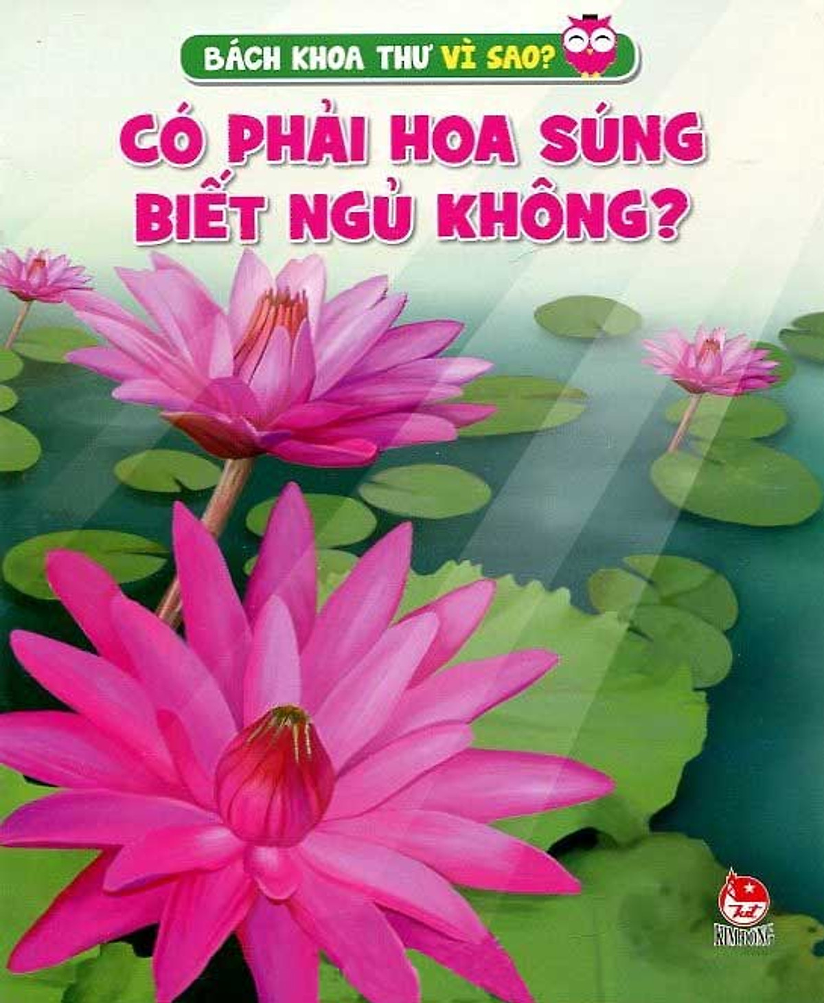 Có Phải Hoa Súng Biết Ngủ Không?