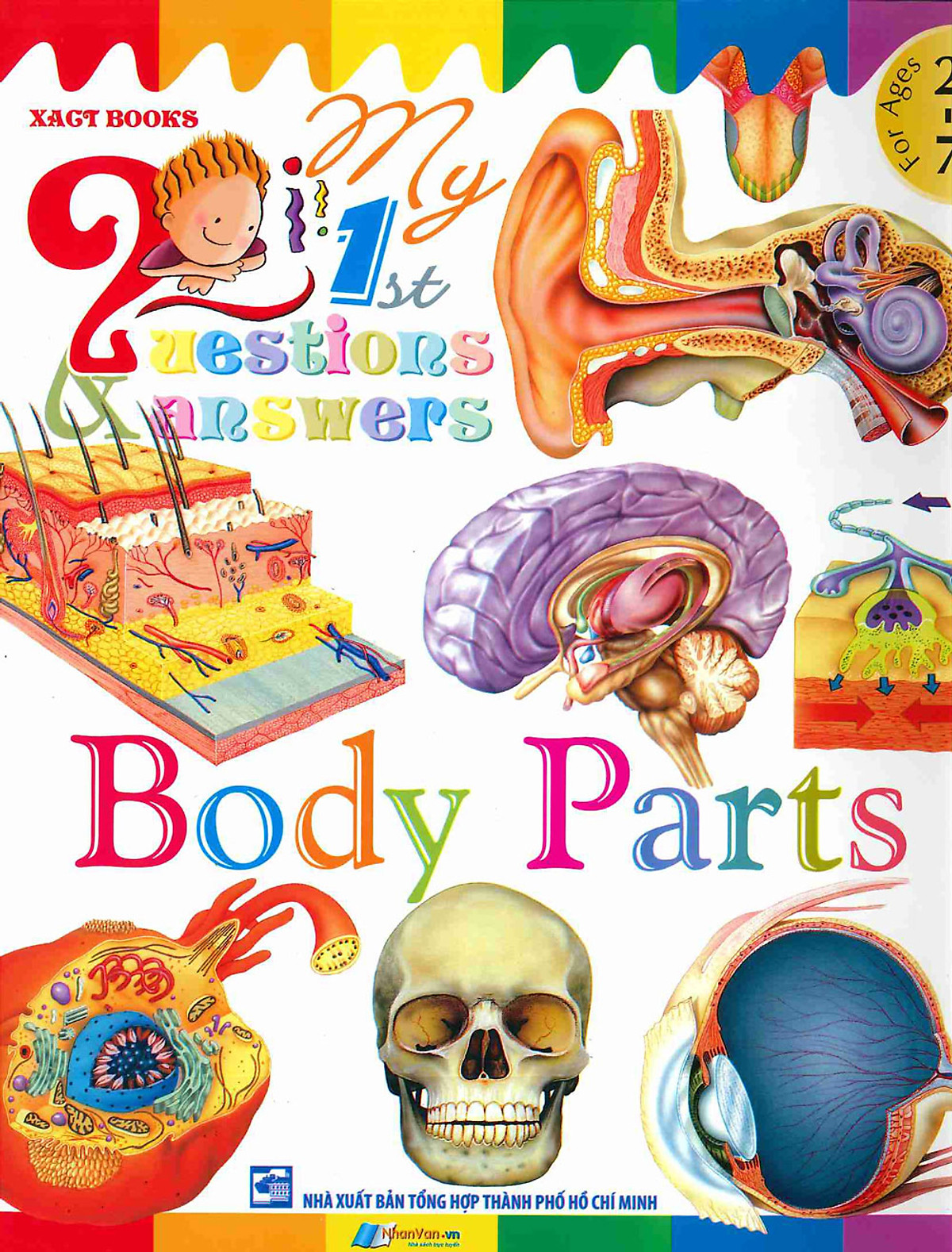 My First Questions & Answers - Body Parts