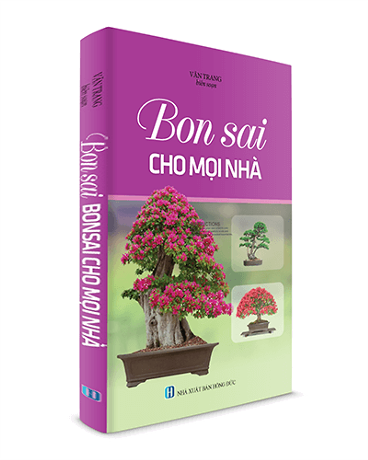 Bonsai Cho Mọi Nhà 