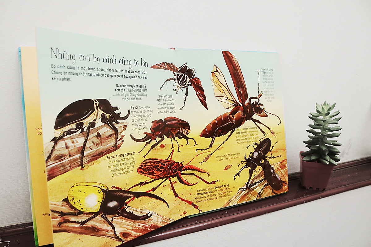 Big Book Of Big Bugs – Cuốn Sách Khổng Lồ Về Những Con Bọ